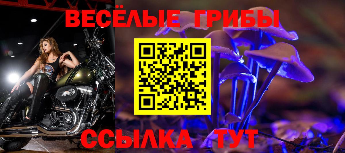 Галлюциногенные грибы Magic Shrooms Кумертау