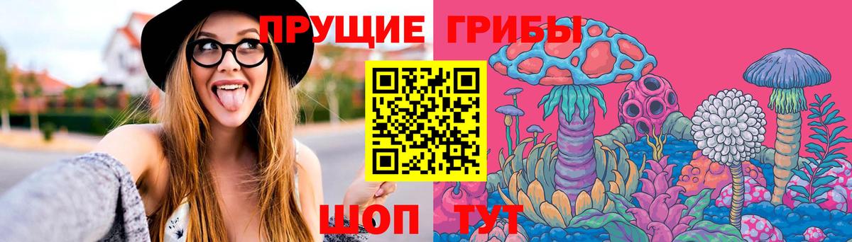 Кумертау  Псилоцибиновые грибы Psilocybe  Вход с VPN 